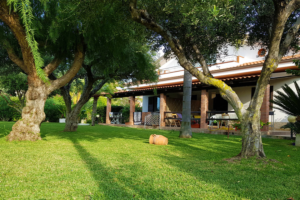 Giardino mediterraneo con ulivi e vista sulla facciata di Villa Ilaria